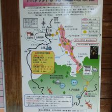 えびの高原まで歩けるようですが、かなりの長距離です。