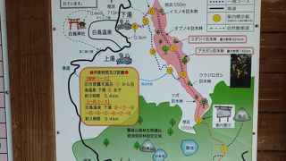 白鳥神社を中心として白鳥温泉下湯のあたりまで。