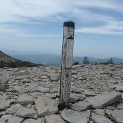 湯の丸山登山の後池の平湿原に寄りました