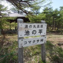 池の平湿原