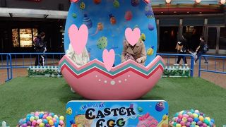 フォトスポットが沢山！