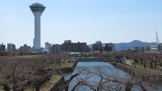 すごく広い公園