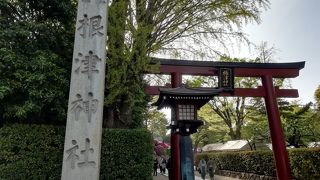 つつじまつりの時に訪れました