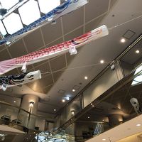 鯉のぼりが館内に