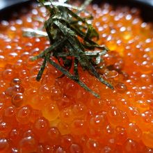 赤く輝くいくら丼