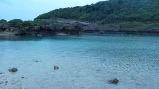 初心者シュノーケリング