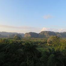 展望台からの絶景