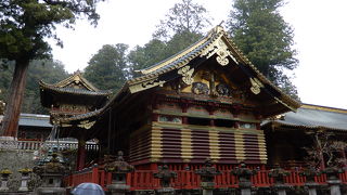 象を知っていて、何回も見たことがある私が描く絵よりも実際の象に似ています。