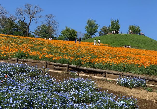 藪塚駅は、春、八王子山公園 芝桜祭りの最寄駅です！