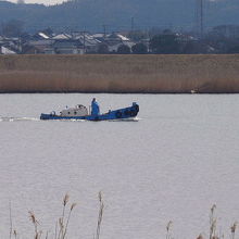 利根川の風景