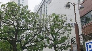 普段使いに便利