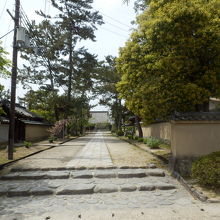 西大寺本堂方向を望む