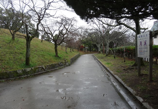 城西公園 クチコミ アクセス 営業時間 高知市 フォートラベル