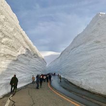 宿泊者限定はやったり歩けます