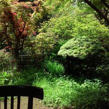 庭を眺めながら食事。