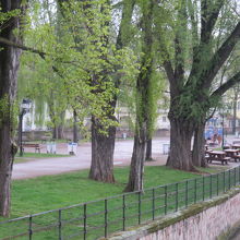 ルイーズ ワイス公園 