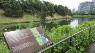 目を凝らせば・・・