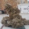 砂漠のホテル