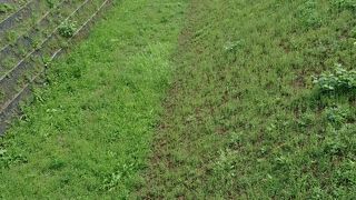 市街地に残る城の遺構