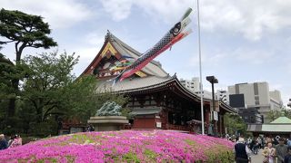 何度行っても楽しい