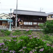 遊歩道や親水公園