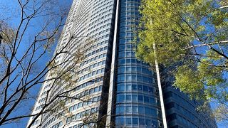 夏空に映えます