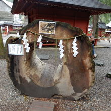 腰痛持ちの人は気を付けましょう