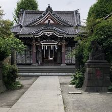 若宮八幡宮社殿…左側に「かなまら様」が祀られる