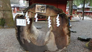 １ｍほどの横倒しになっている御神木で中を潜り抜けることが出来るようになっています