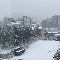 行ったのはチェジュでも珍しく雪の日