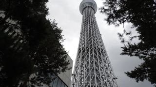 スカイツリーのお膝元・・・