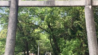 スピリチュアル