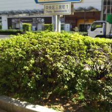 フラワーロード