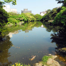 栗林公園(群鴨池)