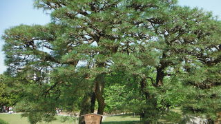 都会のオアシス