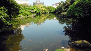 北庭の静けさも良い