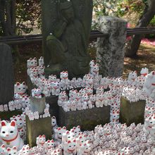 豪徳寺　招き猫