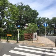 自然豊かな散歩道