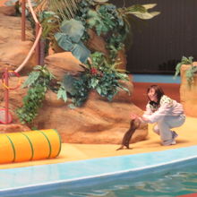 アニマルショー