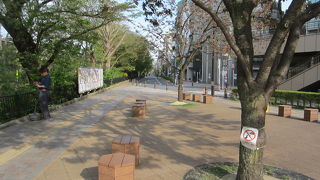 気持ちのよい散歩道