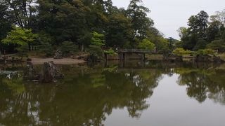 お庭を見ながらお茶も