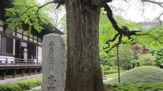 紅葉の時期はたぶんすばらしい