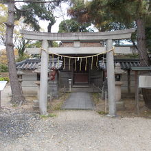 正面の景観です。