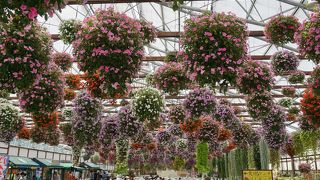 まさに鳥と触れ合えます