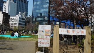 都会のオアシス