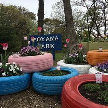 なんだか可愛い