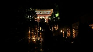 竹あかりを見に久能山東照宮へ