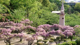 恋人の聖地、らしい。