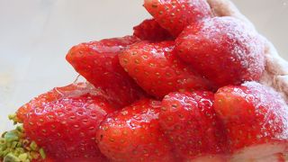 平日の昼前なので空いていました