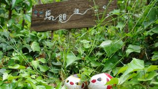 ネコがいるかも？の散歩道